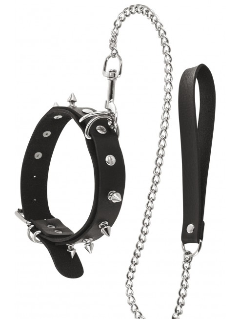 Fetish collar and leash